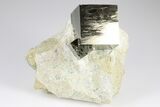 Shiny, Natural Pyrite Cube in Rock - Navajun, Spain #178874-1